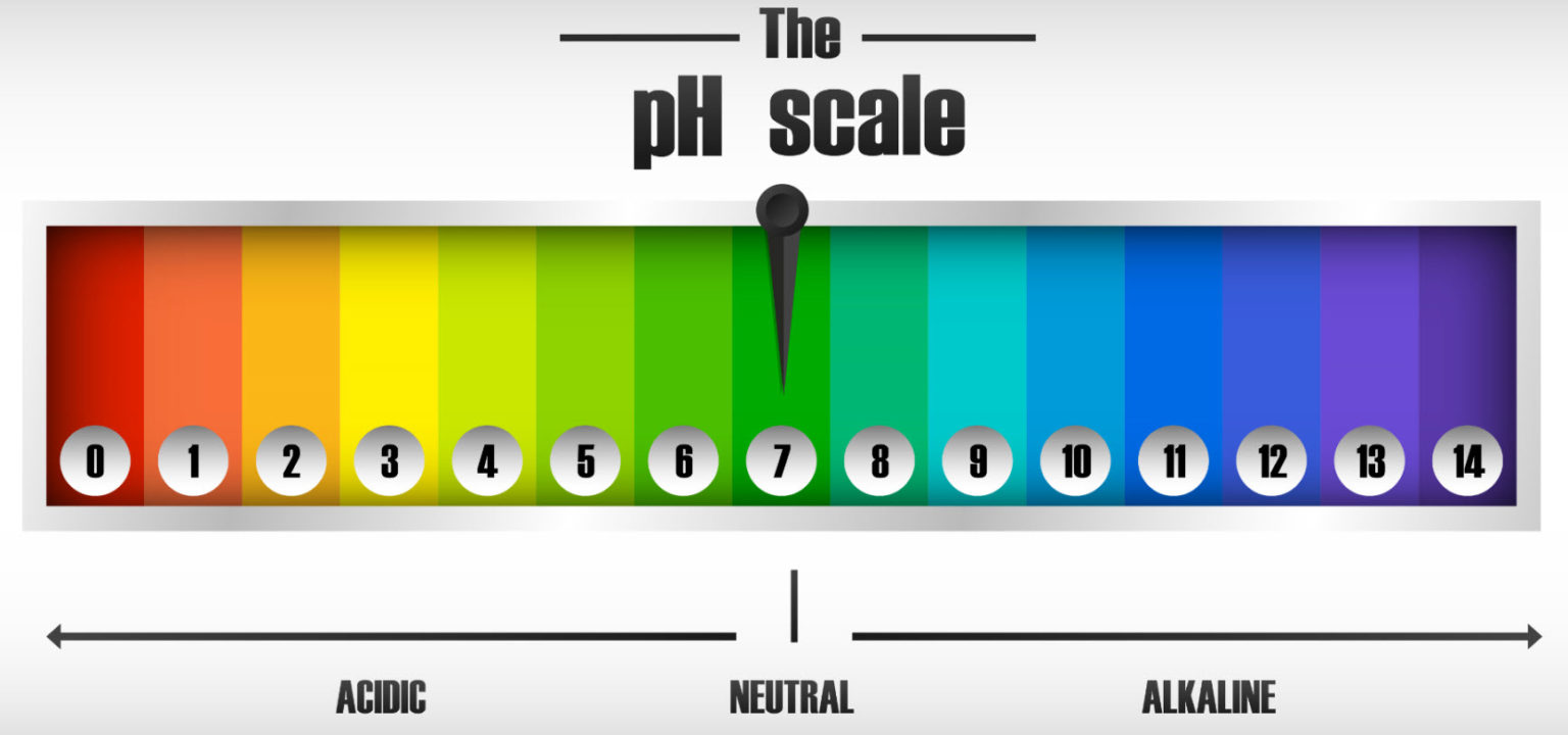 Skin Care for Infection Prevention Lymphedema Therapy Source
